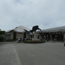 美ら海水族館