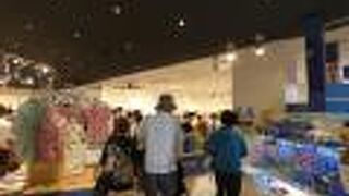 美ら海水族館に行ったら寄るショップ