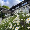 山奥の快適な宿