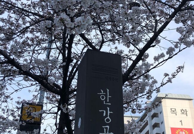 桜の名所！