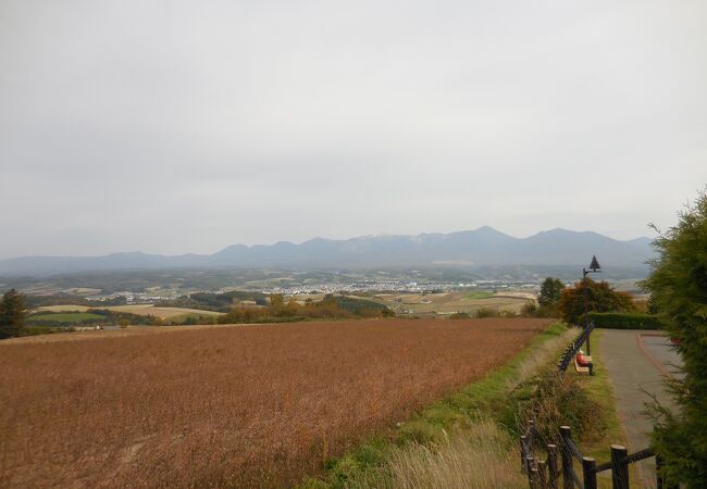 千望峠花と憩いの広場