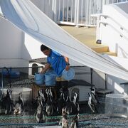 瀬戸内に面した四国水族館