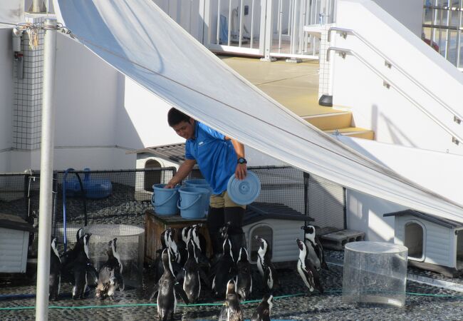 瀬戸内に面した四国水族館