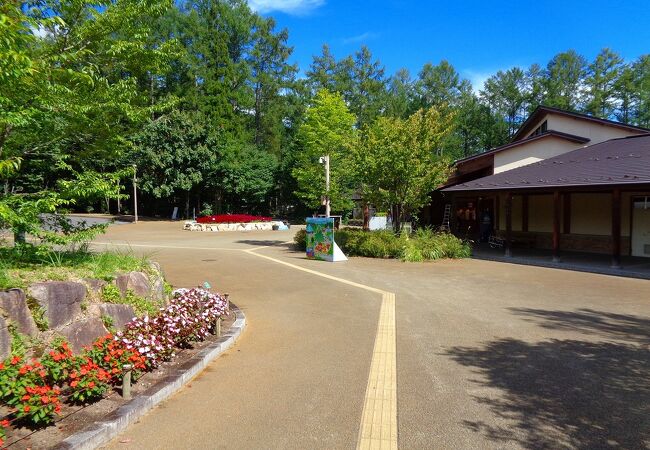 国営アルプスあづみの公園 大町 松川地区