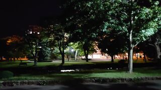 夜の中島公園