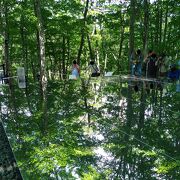 綺麗な空気を祀る空気神社