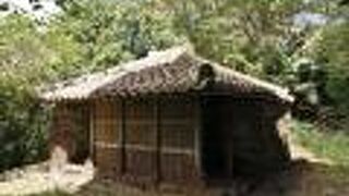 森の中にある住居跡