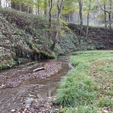 キャンプ場裏の小川