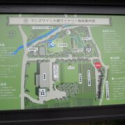 約三千坪の日本庭園「万酔園」を自由に散策可能