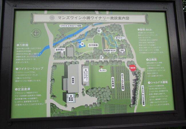 約三千坪の日本庭園「万酔園」を自由に散策可能