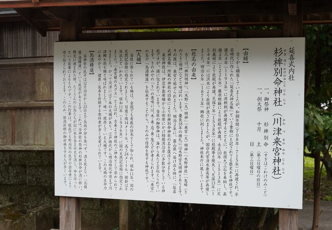河津桜観光交流館から歩けます