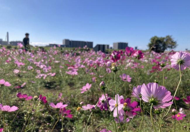 足立区都市農業公園