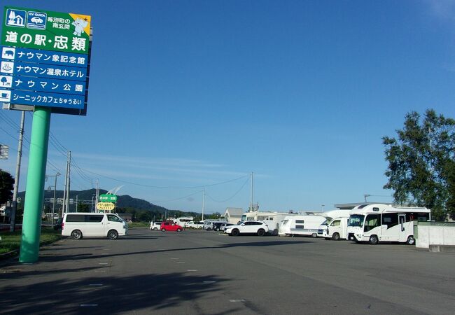 小さな市街地にあり、温泉ホテルや公園も併設、花壇がきれい。