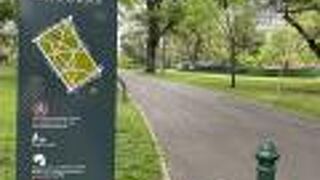 土曜日朝はのどか