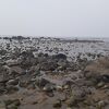 象潟海水浴場は勿論、象潟海水浴場から才の神緑地広場へ向かう途中に岩が織り成す荒々しい景色を楽しむことが出来ます