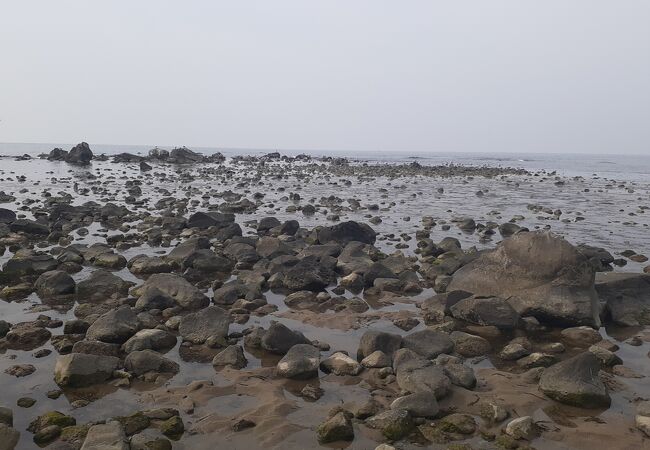 象潟海水浴場は勿論、象潟海水浴場から才の神緑地広場へ向かう途中に岩が織り成す荒々しい景色を楽しむことが出来ます