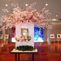 フロントフロア