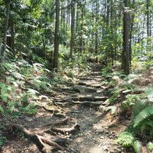 世界遺産熊野古道 馬越峠