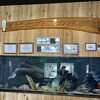 エビカニたくさん！
