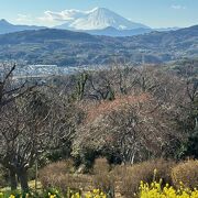 週末は多くの人が観光にくる公園