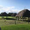 縄文時代の人々の暮らしをしのぶことができる場所