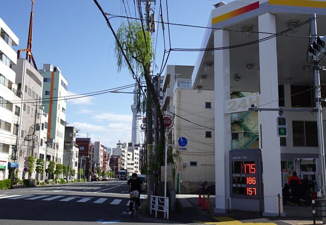 歩道の脇にひっそりと立ってました