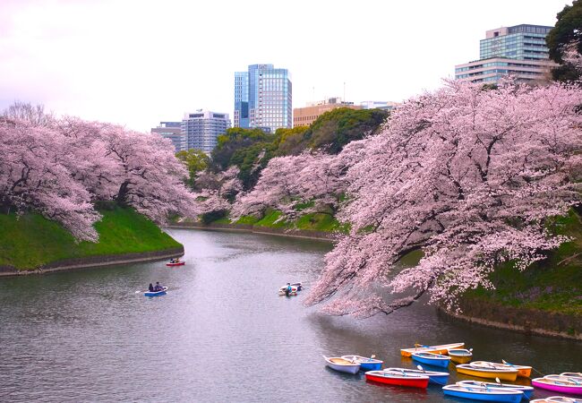 千鳥ケ淵公園