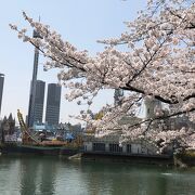 蚕室の遊園地！