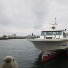 仏が浦遊覧船