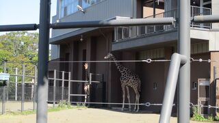 北海道有数の動物園