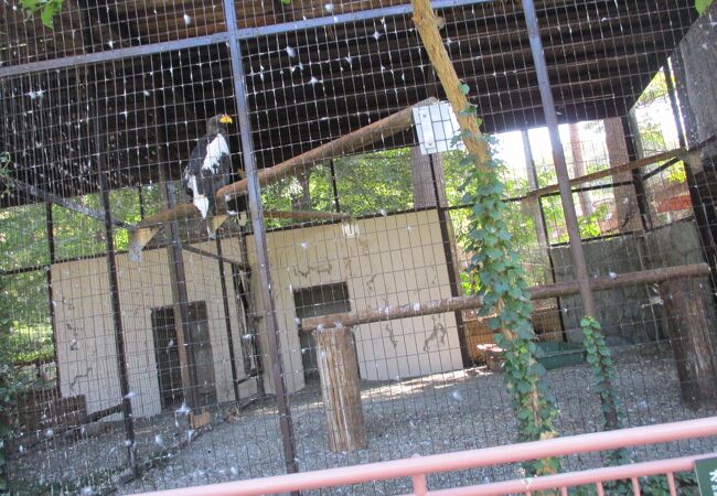 京濱鳥獣貿易 動物価格表 & 札幌 山動物園 どうぶつぐらふ