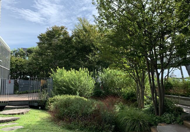 ホントに森があった