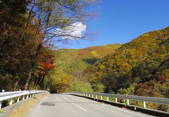 紅葉がきれい