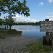 日本百名水の一つ小野川湧水が流れ込む湖