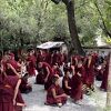 僧侶たちの討論