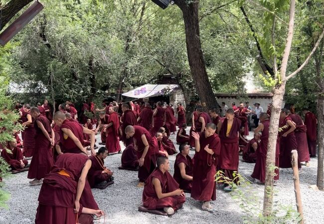 セラ ゴンパ (色拉寺)
