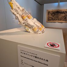 アートと環境の展示