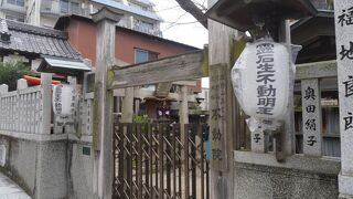 ちょっと陰気くさいかもしれません