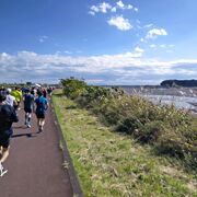 越すに越されぬ大井川