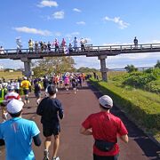 世界一の長さを誇る木造歩道橋