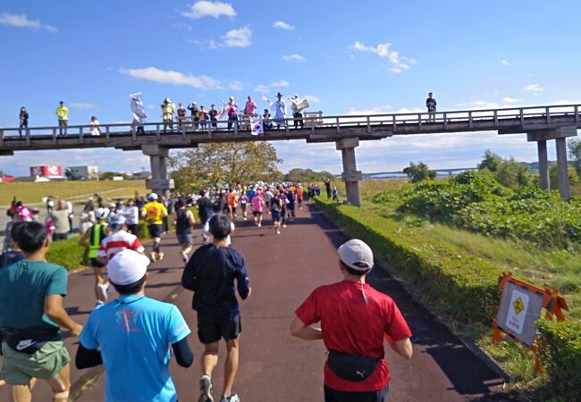 世界一の長さを誇る木造歩道橋