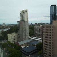 ブリスベン川と王立植物園を眺める