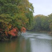 駒ヶ岳と紅葉のはず