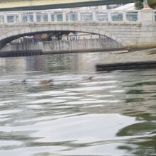 船からの土佐堀川