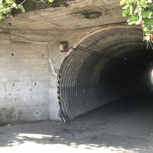 駅の西にあるトンネル。この低さがワクワクします。。