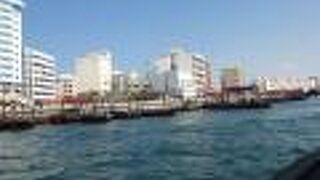 市民の方々と一緒に