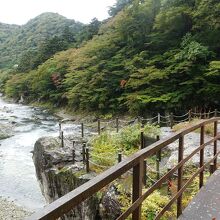 箒川に突きだした野立岩展望台