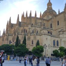 横に広がっているのが特徴