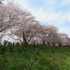 ともかく人が多い