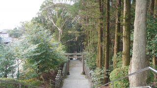 今山八幡宮の参道の下の方になります